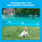  Premier Pet In-Ground Add-A-Dog Collar