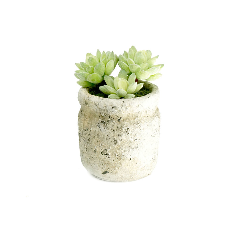 Ensemble de 3 plantes grasses artificielles en pot de ciment
