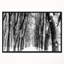 «Snowy Forest Black and White», reproduction de photo sur toile-26690860