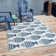 Indoor / Outdoor Rug