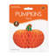 Tissus de citrouilles