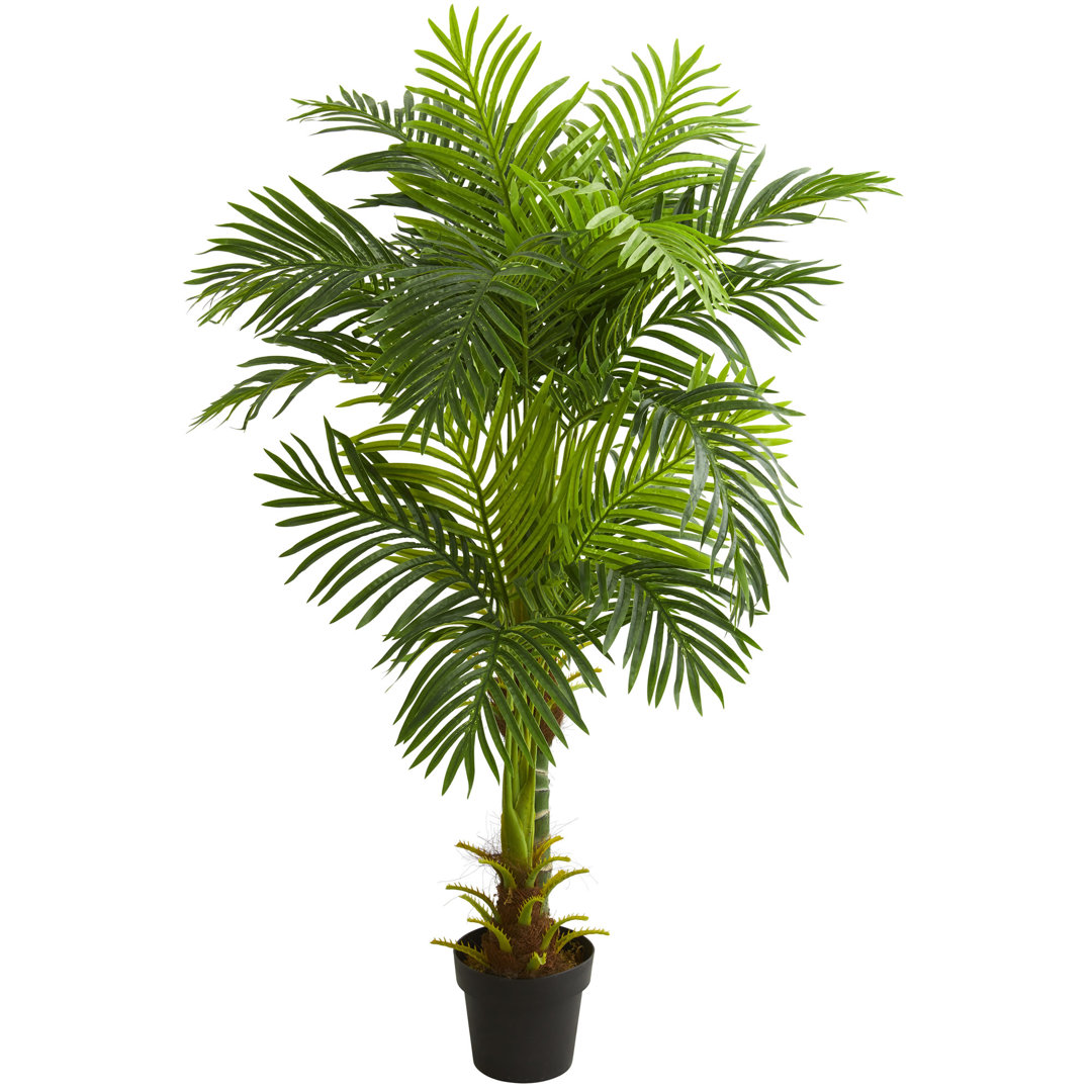 60'' Faux Palm Tree in Planter Bay Isle Home™