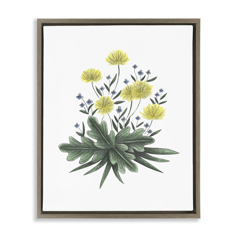 Cadre flottant Dandelion Flower Illustration, design par Cecilia Battaini, H 21 po x l 17 po, Cadre flottant orme Montalcino