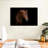 Brampt A Horse-107697254
