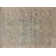Adelbert Oriental Indoor Rug
