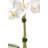 Functional Beauty Realtouch Orchid in Cement Vase-109337976