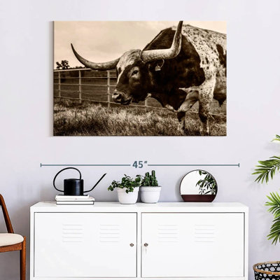 Brampt Sepia Longhorn