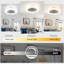 Machell 19.7'' Ceiling Fan with LED Lights