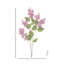 Vaporisateur lilas 40 "Spring Cut -1529799527