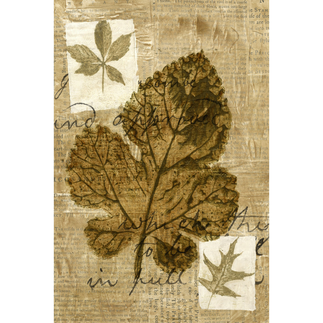Leaf Collage IV - Wrapped Canvas Graphic Art