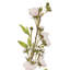 Fiori Cherry Blossom Arrangement