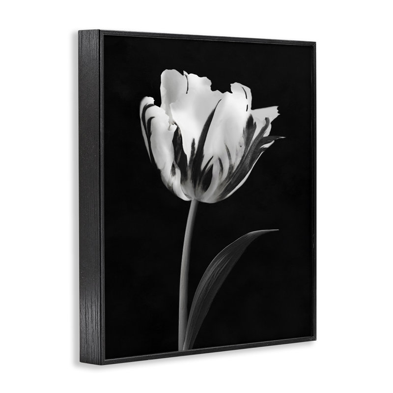 Giclée encadrée noire Modern Flower Stark, design by CAD Designs, H 20 po x l 16 po, Giclée encadrée noir minuit