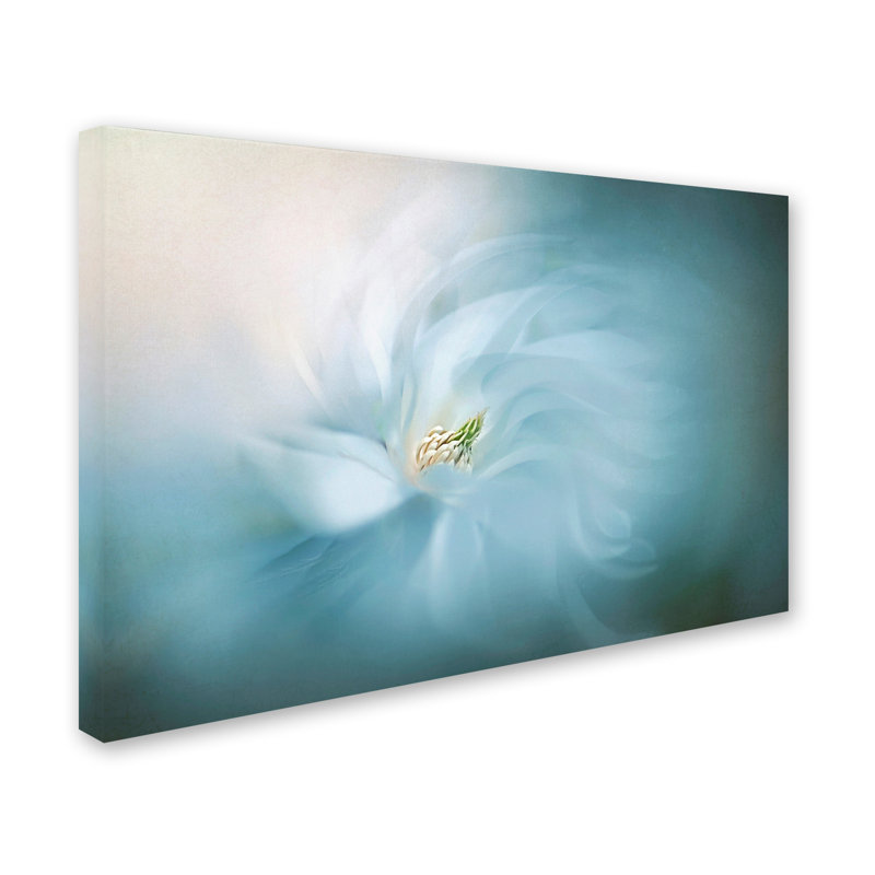 « serene », reproduction d’impression sur toile tendue, H 12 po x l 19 po