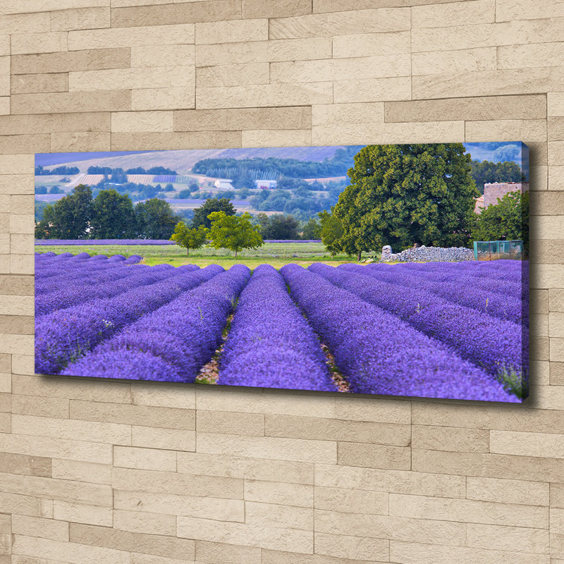 Lavender Field - Wrapped Canvas Print