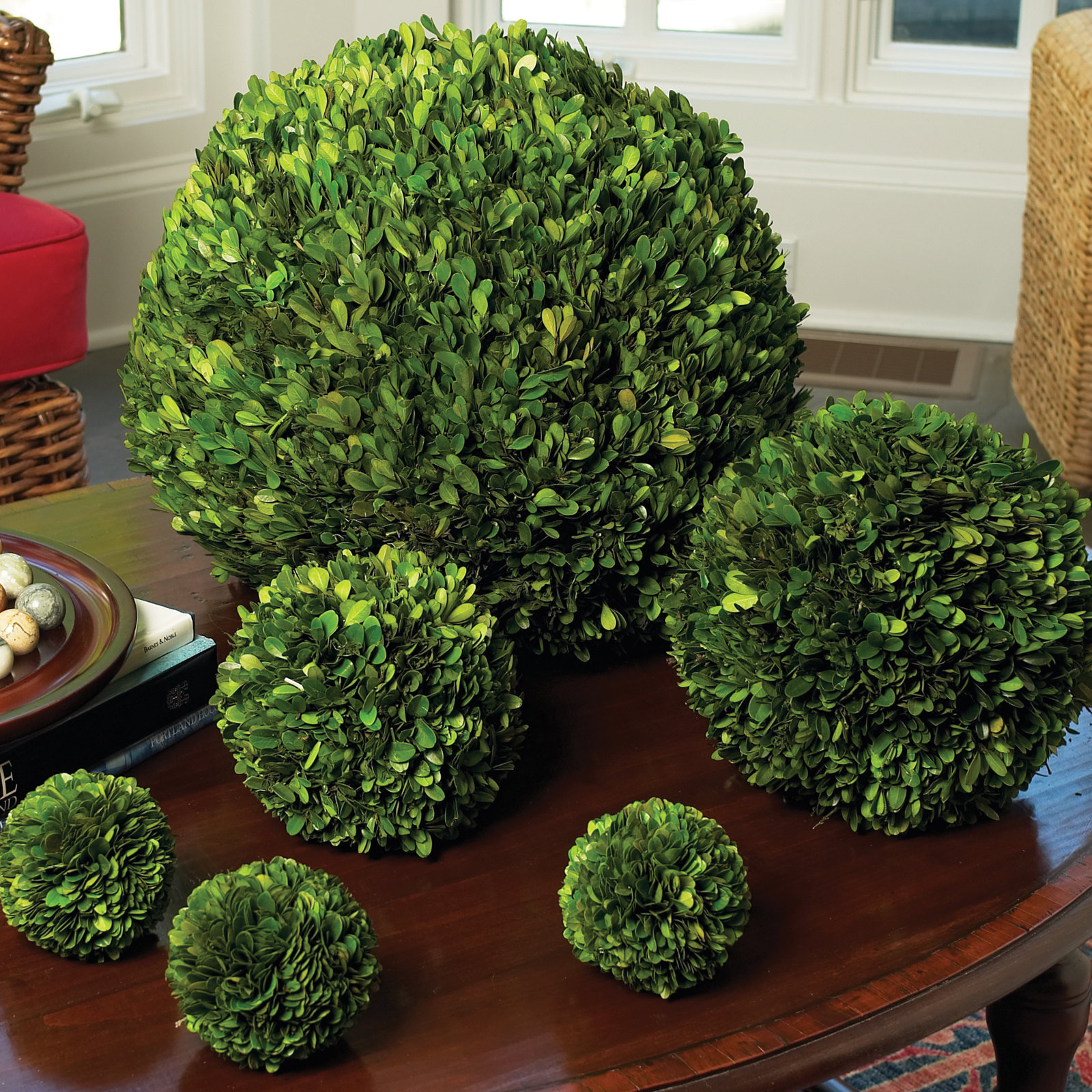 Alby 6" Boxwood Topiary, 4" H X 4" W X 4" D