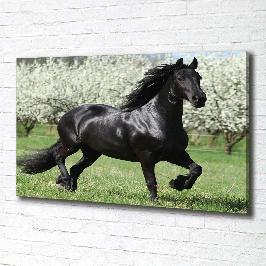 Black Horse Flowers - Kunstdrucke auf Leinwand