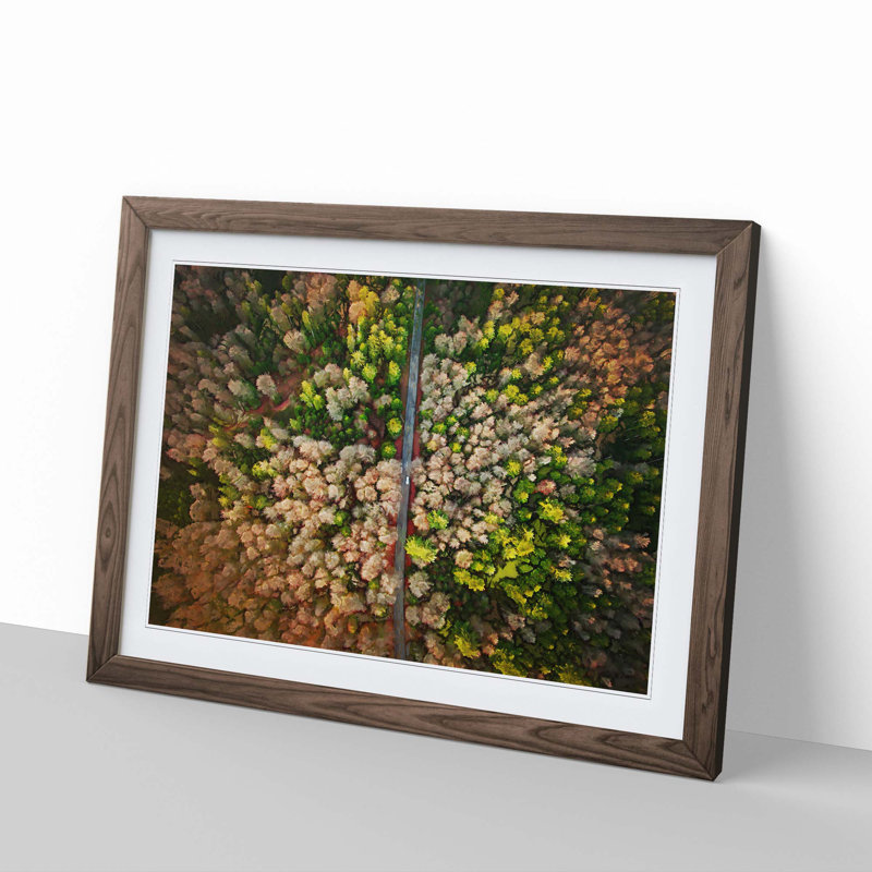 Separating the Forest - Picture Frame Graphic Art Print, Walnut, 60cm H x 91cm W x 2cm D