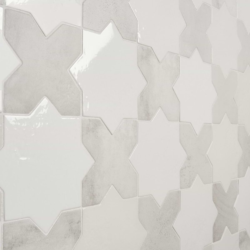 Parma Star-Crossed 6x6 Matte Terracotta Look Porcelain Floor and Wall Tile, Polished White/White