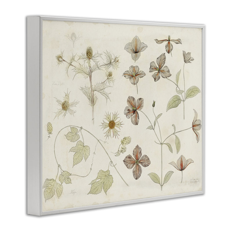 Étude botanique de la nature, estampe numérique, conception par Julie de Graag, H 11 po x l 14 po