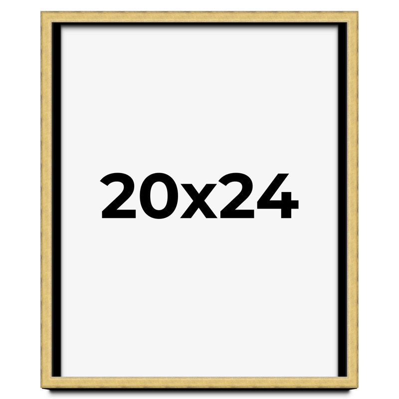 Cadre photo Chiedza, Or, L 20 po x H 24 po