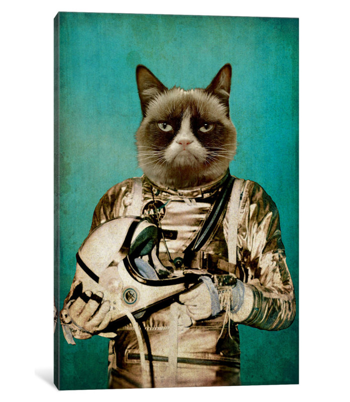 « i need some space », impression sur toile, H 12 po x l 8 po x P 0,75 po, Toile tendue, Pas de tapis