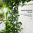 Galvanized Raised Garden Beds with Arch Trellis