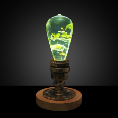 Lampe de table en bois 9,8 po Ghugas