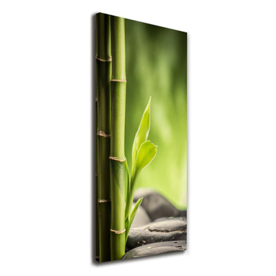 Bamboo - Wrapped Canvas Print