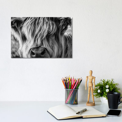 A Very Long-Haired Cow Looks Through Its Hair by Charlietyack - Print on Canvas