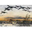 Geese In Flight by Marmont Hill - Wrapped Canvas Print-17852037