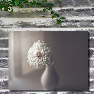 «Window Light», reproduction d'impression