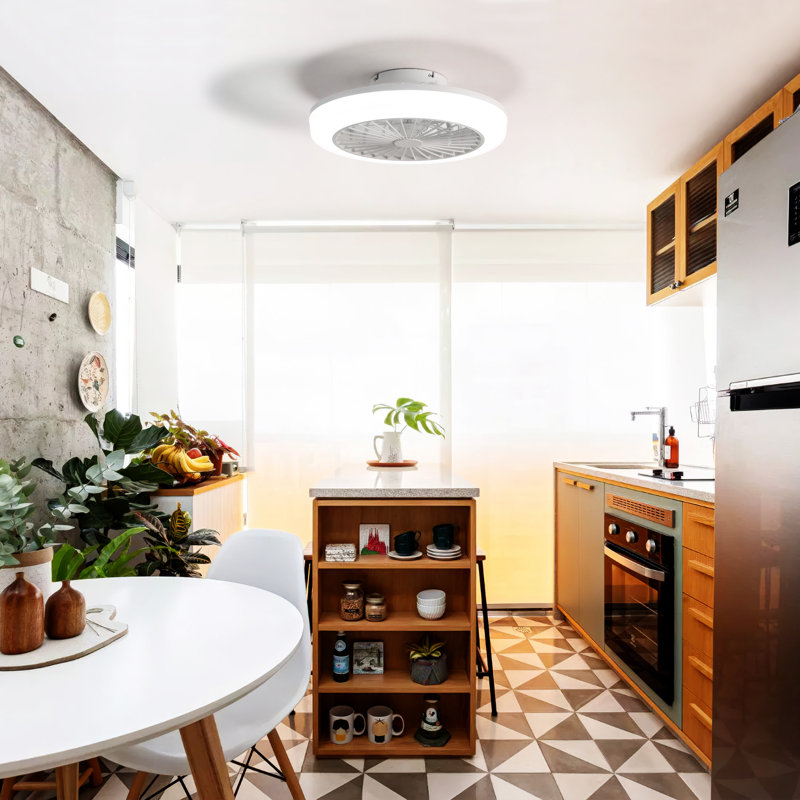 18 Inch Enclosed Ceiling Fan With Light And Remote