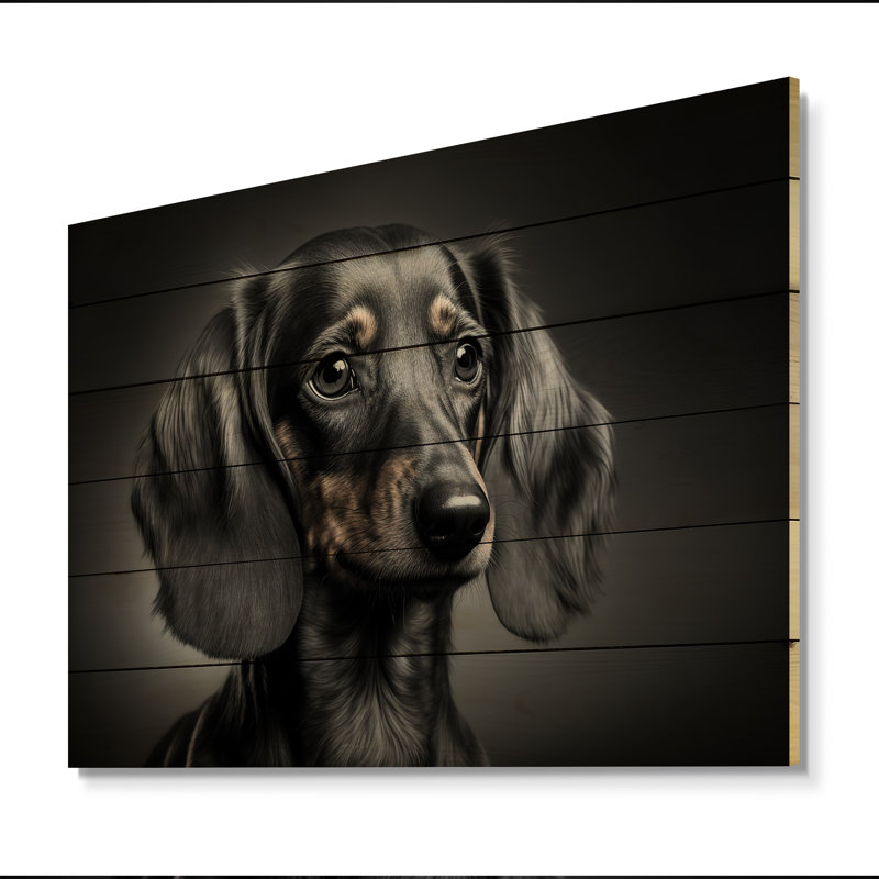 Portrait d'un teckel glam noir - impression sur bois, L 20 po x H 12 po x P 1 po