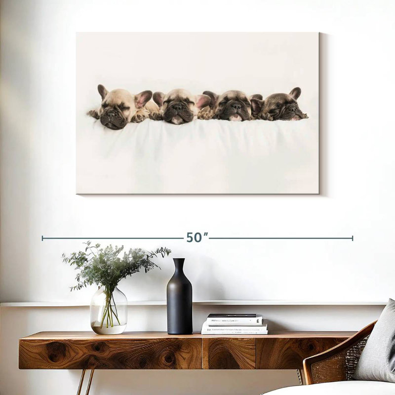 Bouledogue français Brampt faisant la sieste, H 26 po x l 39 po