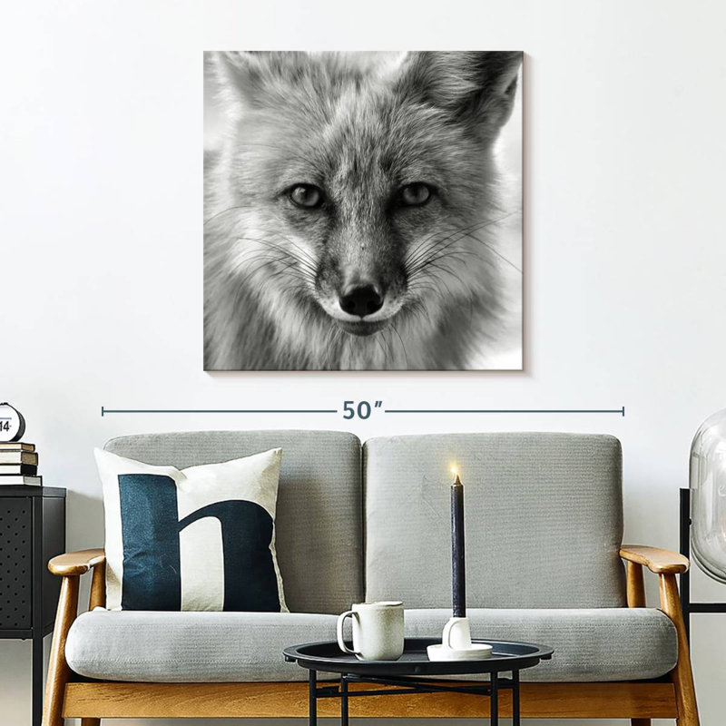 Crowle Fox Portrait, H 30 po x l 30 po