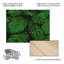 Tina Lavoie Sentinel Wood Slat Art-1746920548