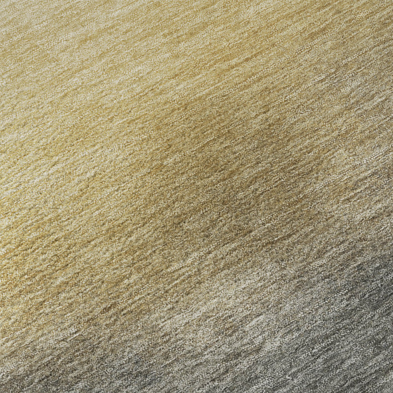 Premium Machine Washable Mayfield AMF2420 Ombre Rug, 3' x 5', Granite