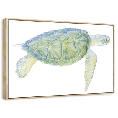 Tranquil Sea Turtle I