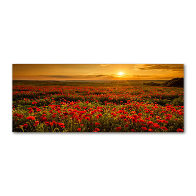 Field Of Poppies - Wrapped Canvas Print