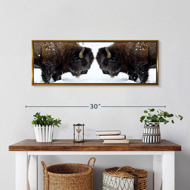 Bison Clash, Cadre flottant doré, 28 po x 10 po