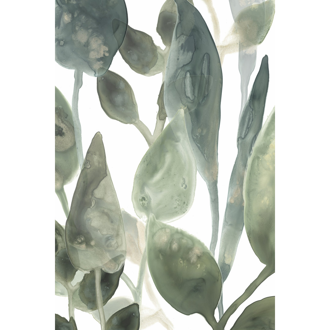 Leinwandbild Water Leaves IV von June Erica Vess