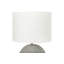 Lampe de table grise 17,75 "Madilynne
