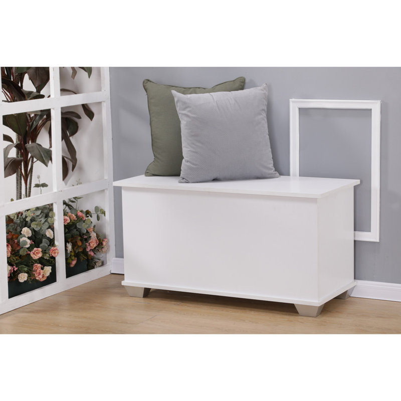 Solid + Manufactured Wood Blanket Chest, White