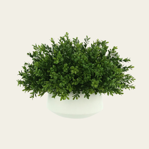 Artificial boxwood potted plant.