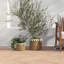 Bea Pot Planter - Set of 2
