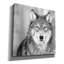 «Epic Graffiti» «Wolf» par Photoinc Studio, art mural sur toile, 18 po x 18 po
