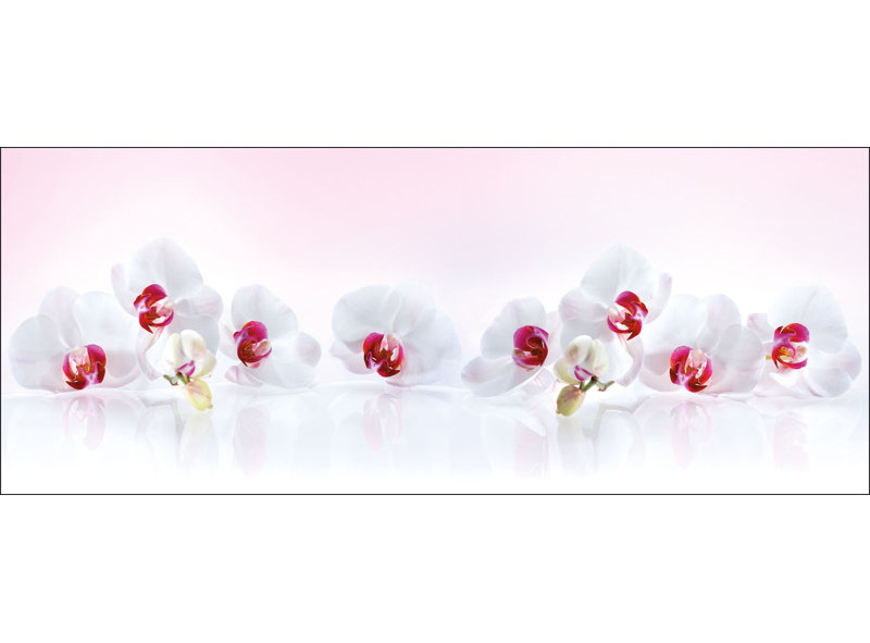 No Frame Print on Glass, 50 cm H x 125 cm W x 1.4cm D
