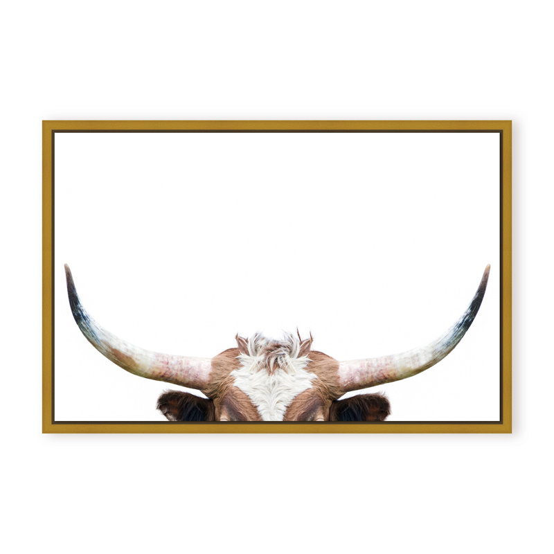 Nature Inspired Peeking Longhorn Cow by  - Picture Frame Photograph on Paper, 32" H x 48" W x 1.125" D, Black, Framed Print