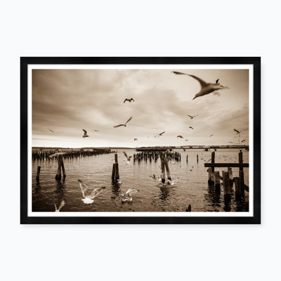 Gull Gathering In Sepia Print