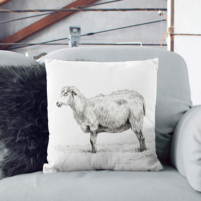 Square Cushion